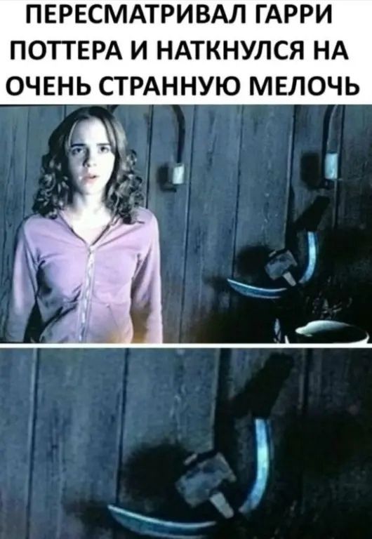 ПЕРЕСМАТРИВАЛ ГАРРИ ПОТТЕРА И НАТКНУЛСЯ НА ОЧЕНЬ СТРАННУЮ МЕЛОЧЬ