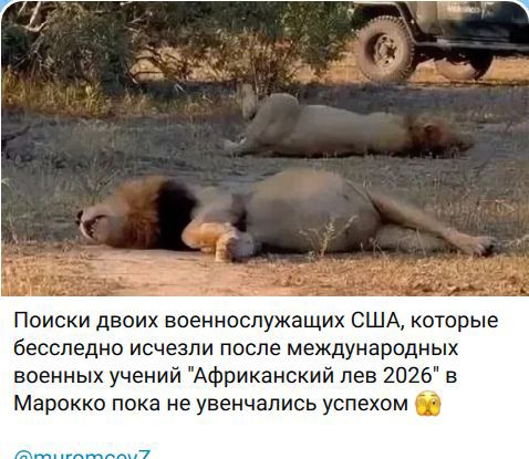 Поиски двоих военнослужащих США, которые бесследно исчезли после международных военных учений 