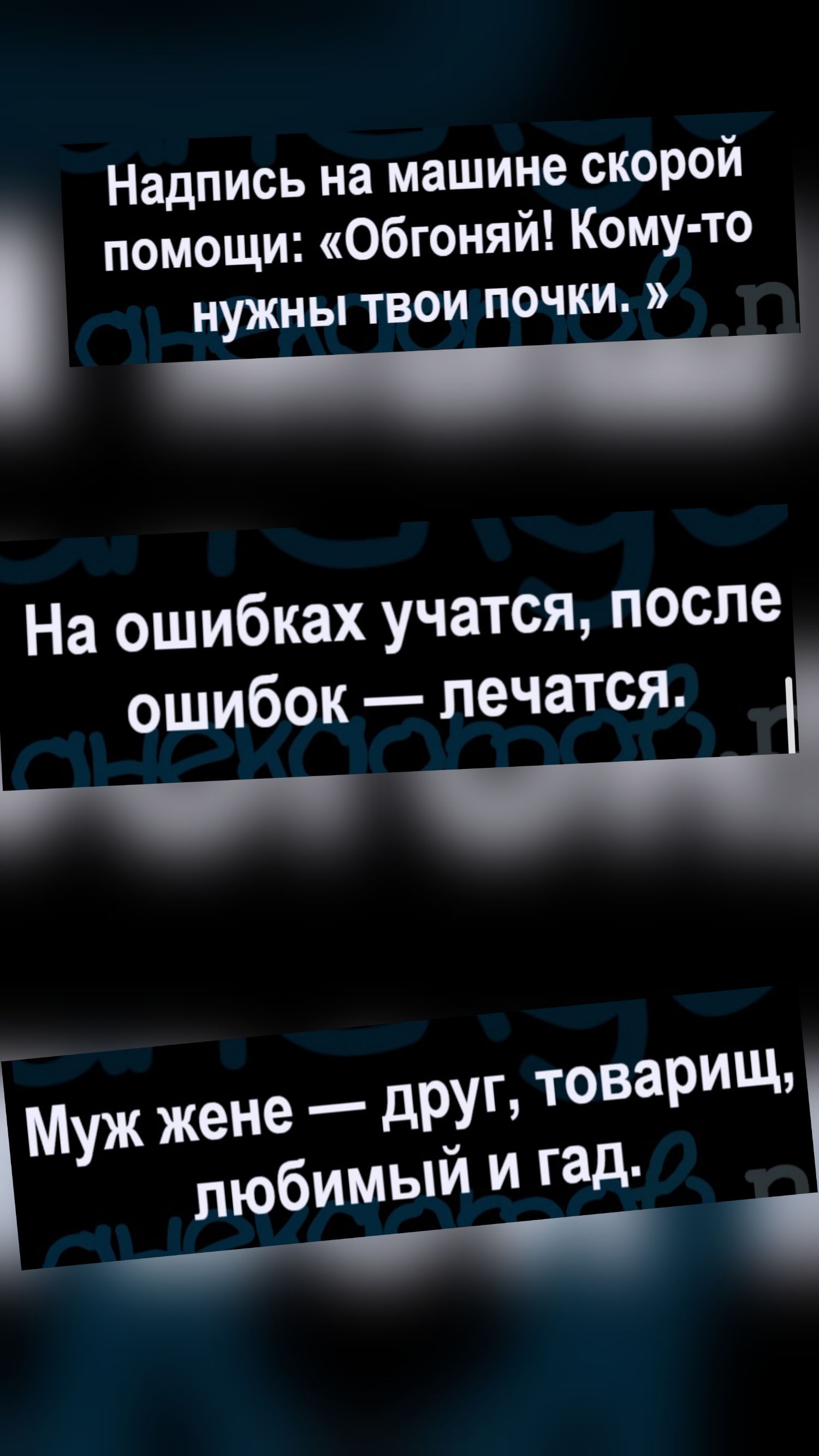 Надпись на машине скорой помощи: «Обгоняй! Кому-то нужны твои почки.» На ошибках учатся, после ошибок — лечатся. Муж жене — друг, товарищ, любимый и гад.