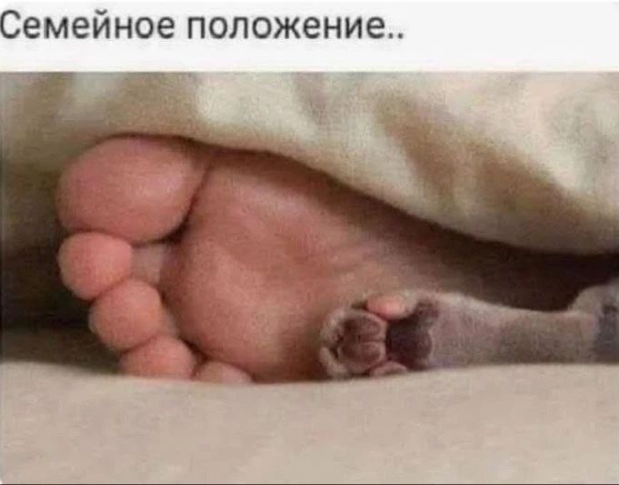Семейное положение..