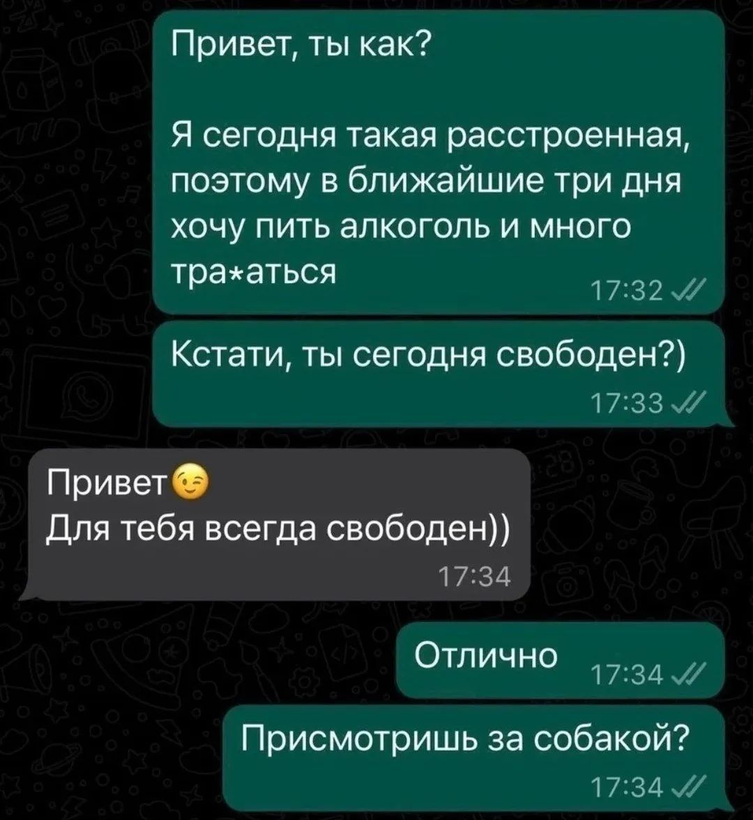 Привет, ты как? Я сегодня такая расстроенная, поэтому в ближайшие три дня хочу пить алкоголь и много тра*аться. Кстати, ты сегодня свободен? Привет 😉 Для тебя всегда свободен)) Отлично. Присмотришь за собакой?