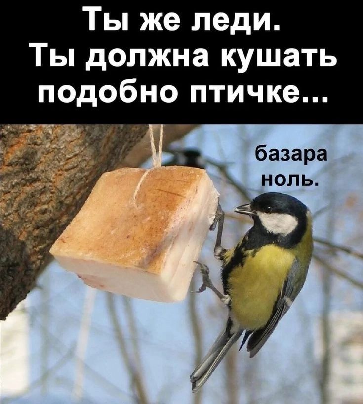 Ты же леди. Ты должна кушать подобно птичке... базара ноль.