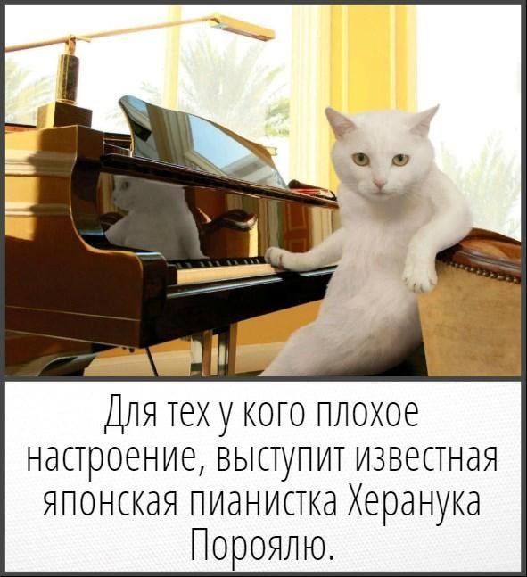 Для тех у кого плохое настроение, выступит известная японская пианистка Херанука Пороялю.