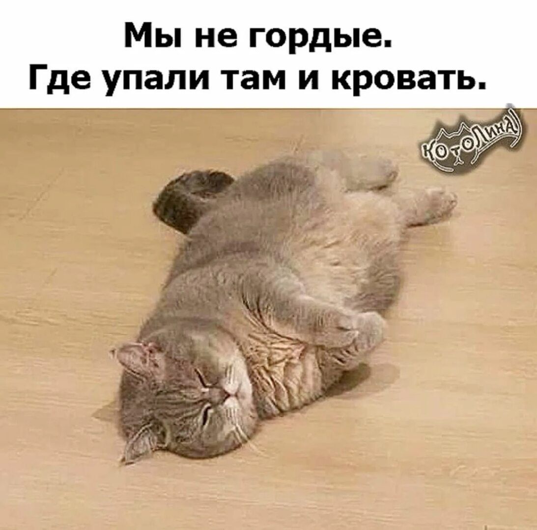 Мы не гордые. Где упали там и кровать.
