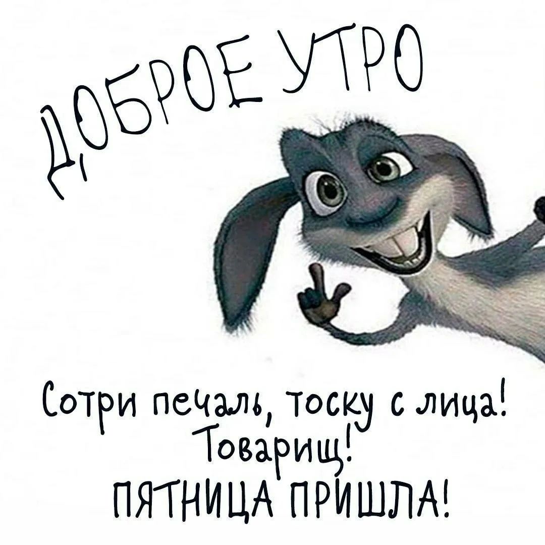 ДОБРОЕ УТРО Сотри печаль, тоску с лица! Товарищ! ПЯТНИЦА ПРИШЛА!