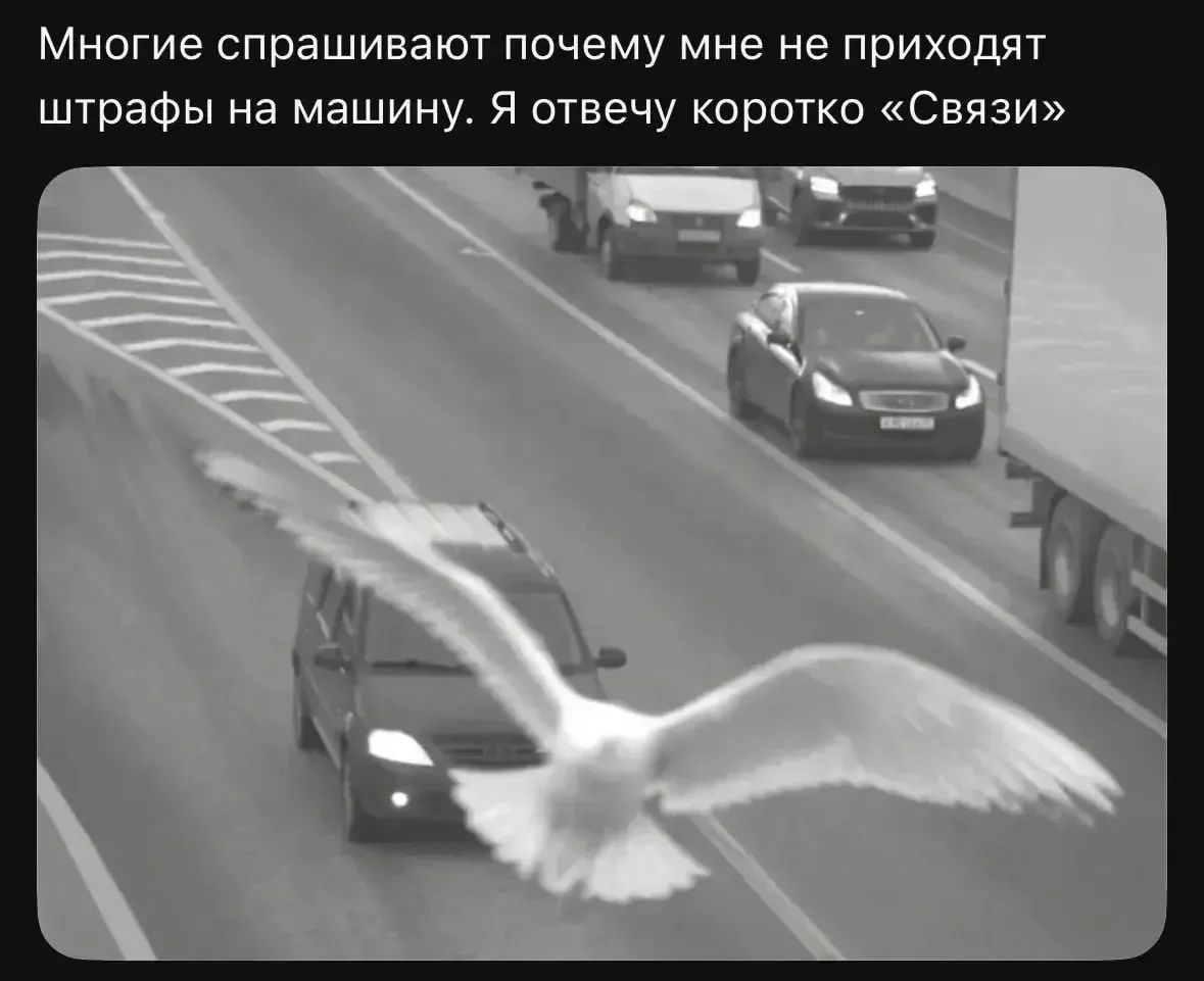Многие спрашивают почему мне не приходят штрафы на машину. Я отвечу коротко «Связи»