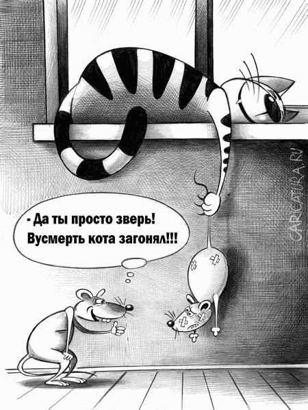 Да ты просто зверь! Вусмерть кота загонял!!!
