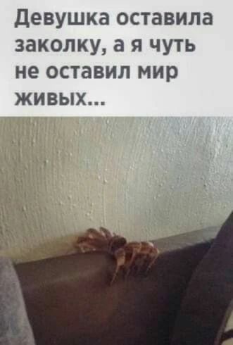 Девушка оставила заколку, а я чуть не оставил мир живых...