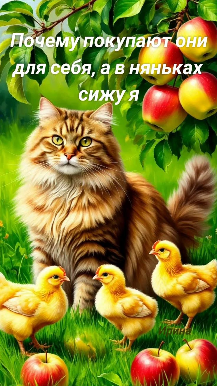 Почему покупают они для себя, а в няньках сижу я