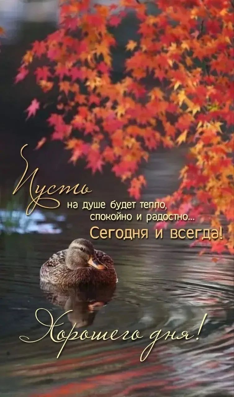 Пусть на душе будет тепло, спокойно и радостно... Сегодня и всегда! Хорошего дня!