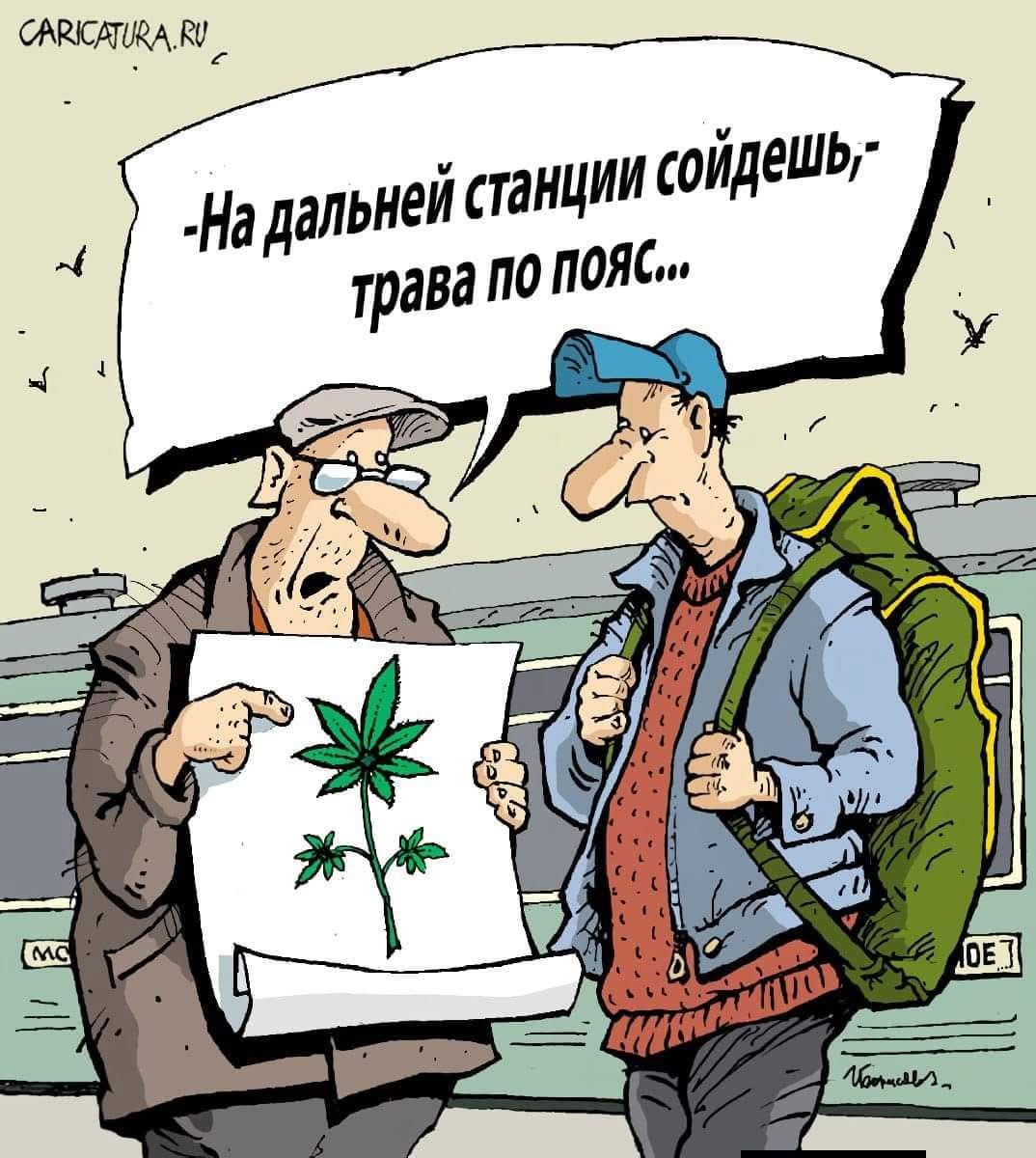 На дальней станции сойдешь, - трава по пояс...