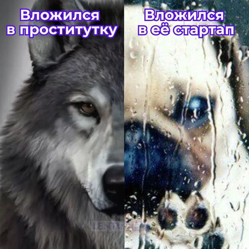 Вложился в проститутку Вложился в её стартап