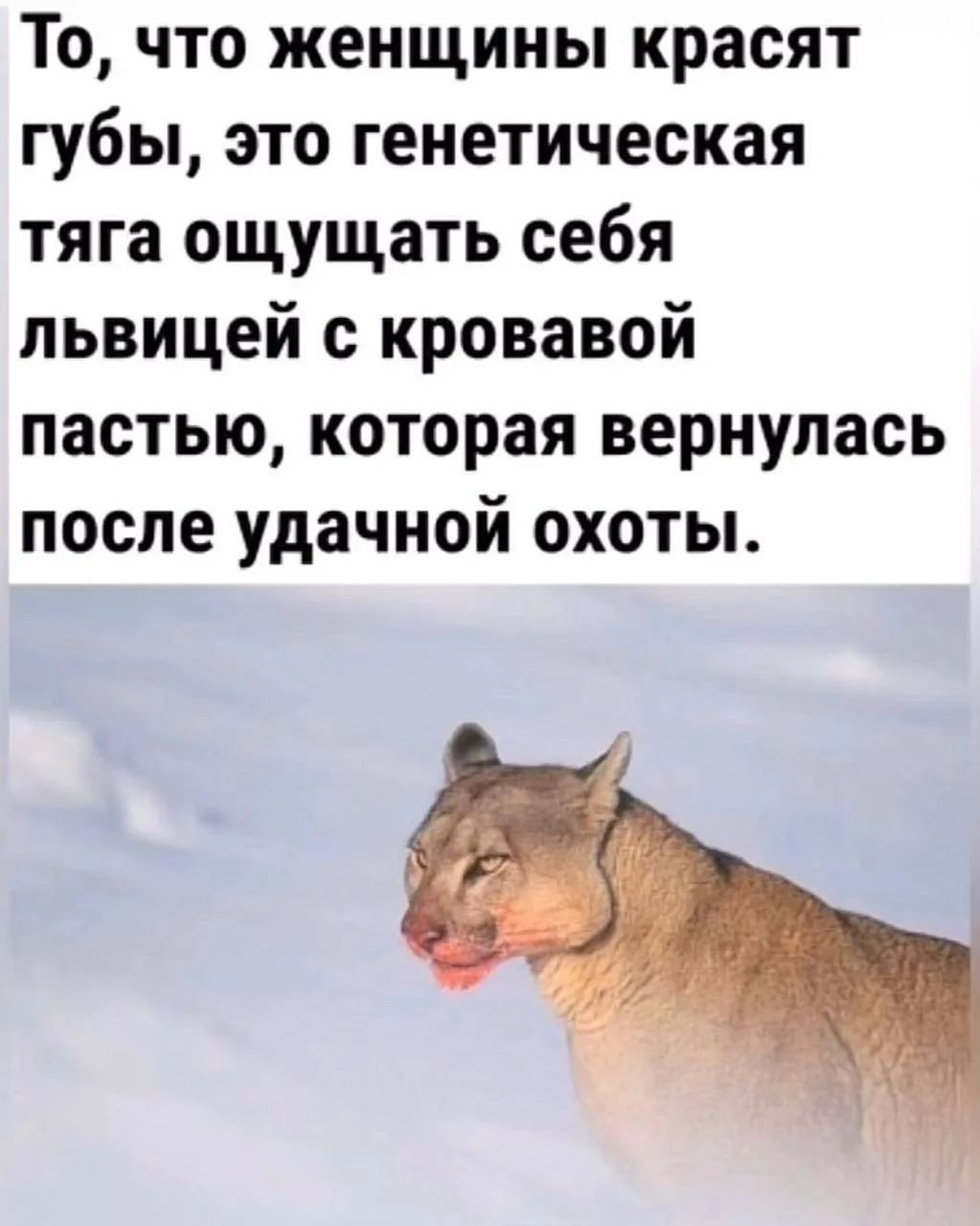 То, что женщины красят губы, это генетическая тяга ощущать себя львицей с кровавой пастью, которая вернулась после удачной охоты.