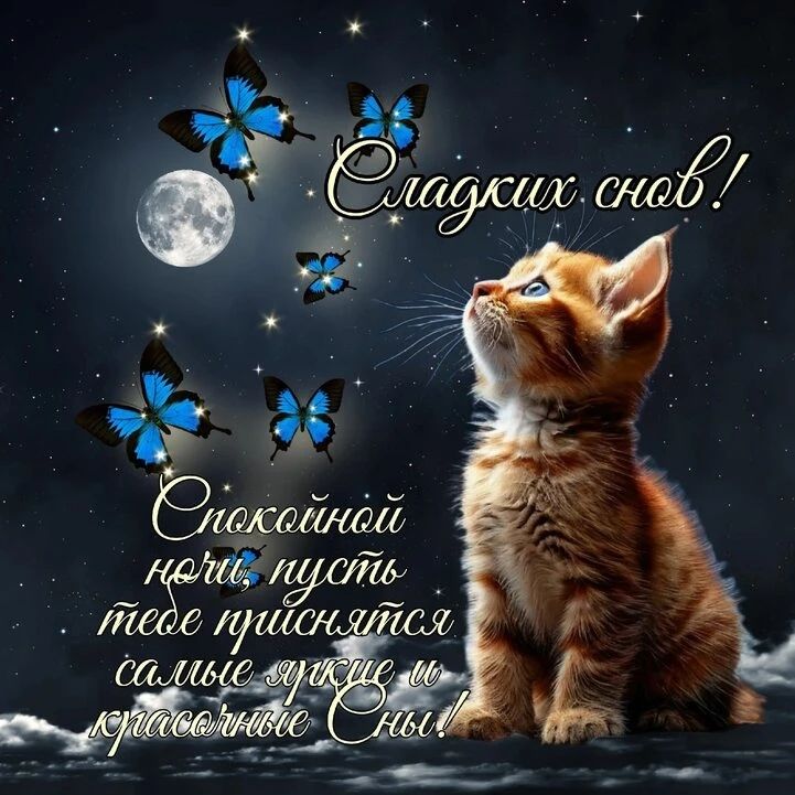 Сладких снов! Спокойной ночи, пусть тебе приснятся самые яркие и красочные сны!