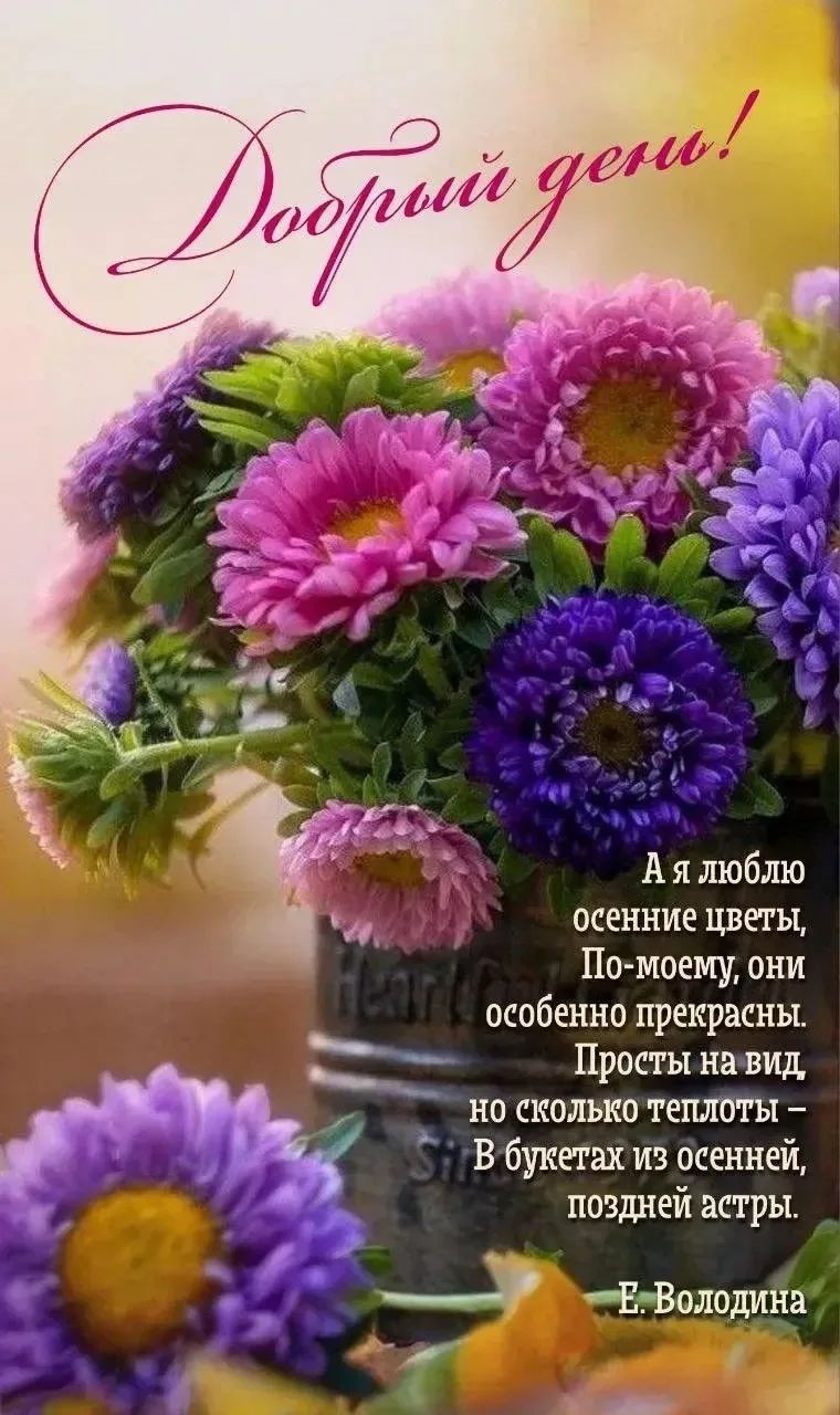 Добрый день! А я люблю осенние цветы, По-моему, они особенно прекрасны. Просты на вид, но сколько теплоты — В букетах из осенней, поздней астры. Е. Володина