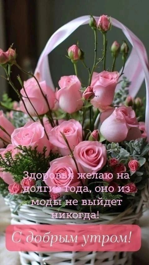 Здоровья желаю на долгие года, оно из моды не выйдет никогда! С добрым утром!