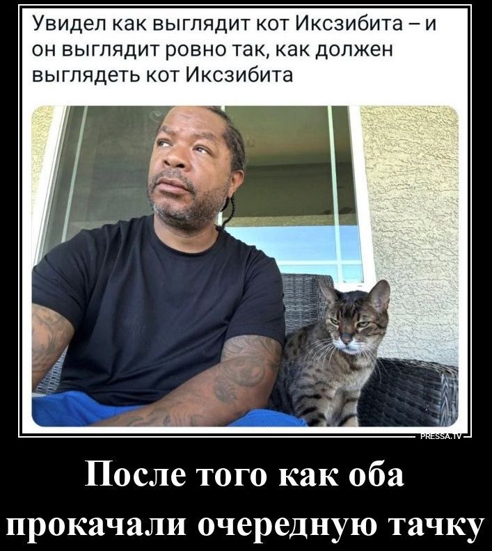 Увидел как выглядит кот Иксзибита – и он выглядит ровно так, как должен выглядеть кот Иксзибита. После того как оба прокачали очередную тачку.
