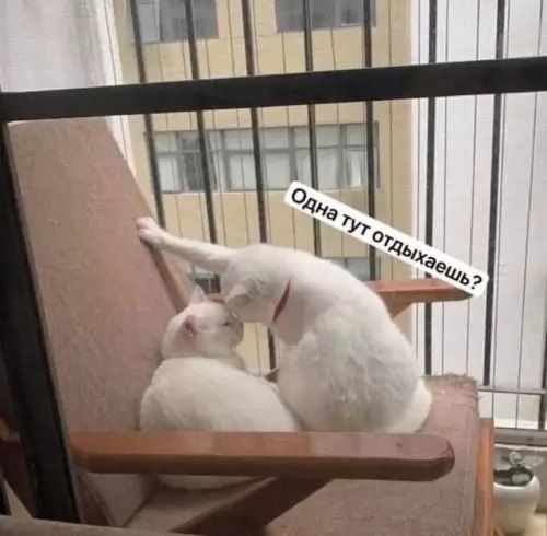 Одна тут отдыхаешь?