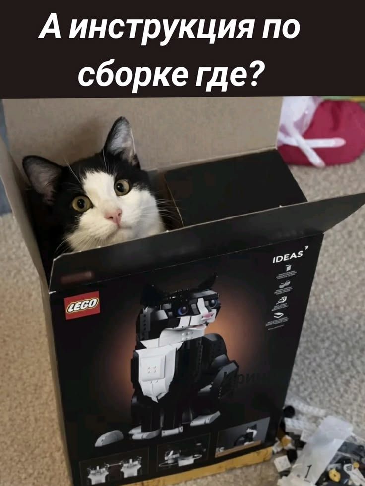 А инструкция по сборке где?