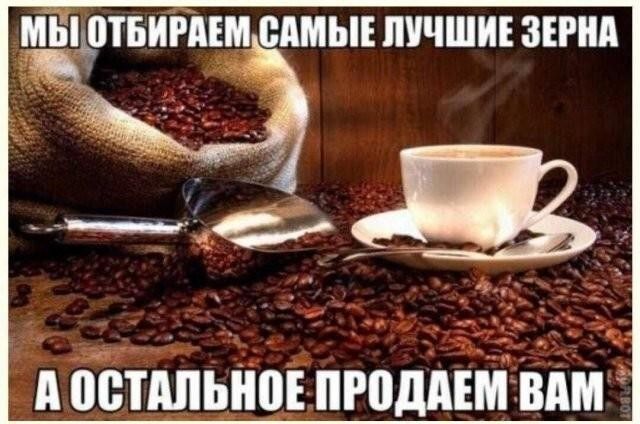 МЫ ОТБИРАЕМ САМЫЕ ЛУЧШИЕ ЗЕРНА А ОСТАЛЬНОЕ ПРОДАЕМ ВАМ