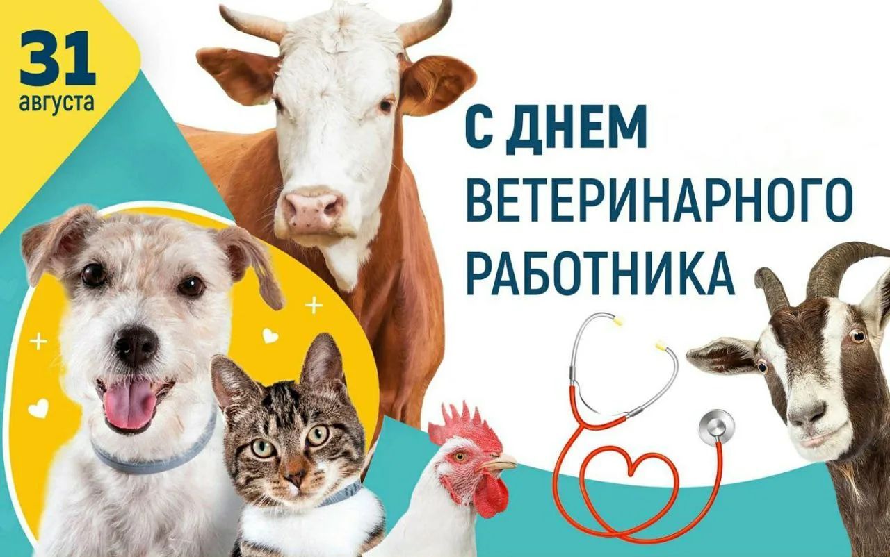 31 августа С ДНЕМ ВЕТЕРИНАРНОГО РАБОТНИКА