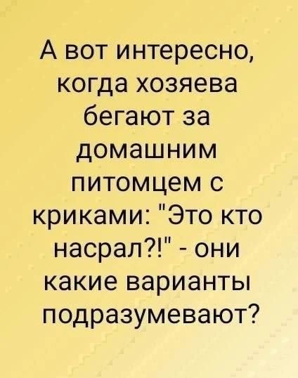 А вот интересно, когда хозяева бегают за домашним питомцем с криками: 