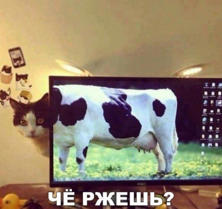 ЧЁ РЖЕШЬ? Кот выглядывает из-за монитора, на котором изображена корова. Голова кота совмещается с телом коровы, создавая иллюзию, что это одно животное.