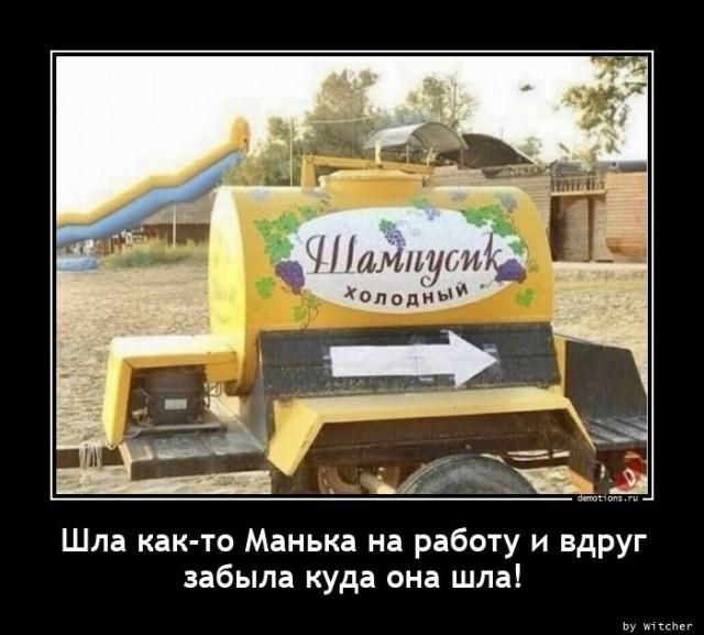 Шампусик Холодный. Шла как-то Манька на работу и вдруг забыла куда она шла!