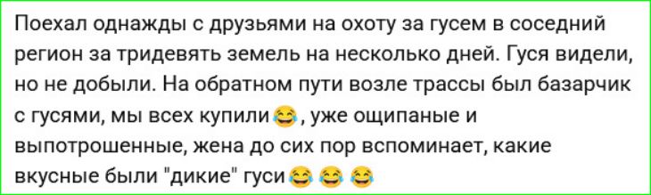 Поехал однажды с друзьями на охоту за гусем в соседний регион за тридевять земель на несколько дней. Гуся видели, но не добыли. На обратном пути возле трассы был базарчик с гусями, мы всех купили 😂, уже ощипанные и выпотрошенные, жена до сих пор вспоминает, какие вкусные были 