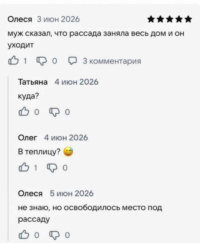 Олеся 3 июн 2026 муж сказал, что рассада заняла весь дом и он уходит Татьяна 4 июн 2026 куда? Олег 4 июн 2026 В теплицу? Олеся 5 июн 2026 не знаю, но освободилось место под рассаду