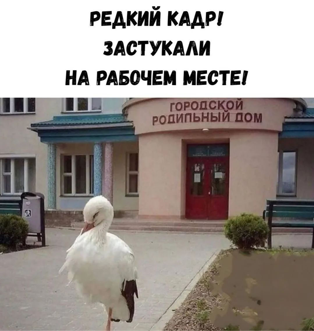РЕДКИЙ КАДР! ЗАСТУКАЛИ НА РАБОЧЕМ МЕСТЕ! ГОРОДСКОЙ РОДИЛЬНЫЙ ДОМ