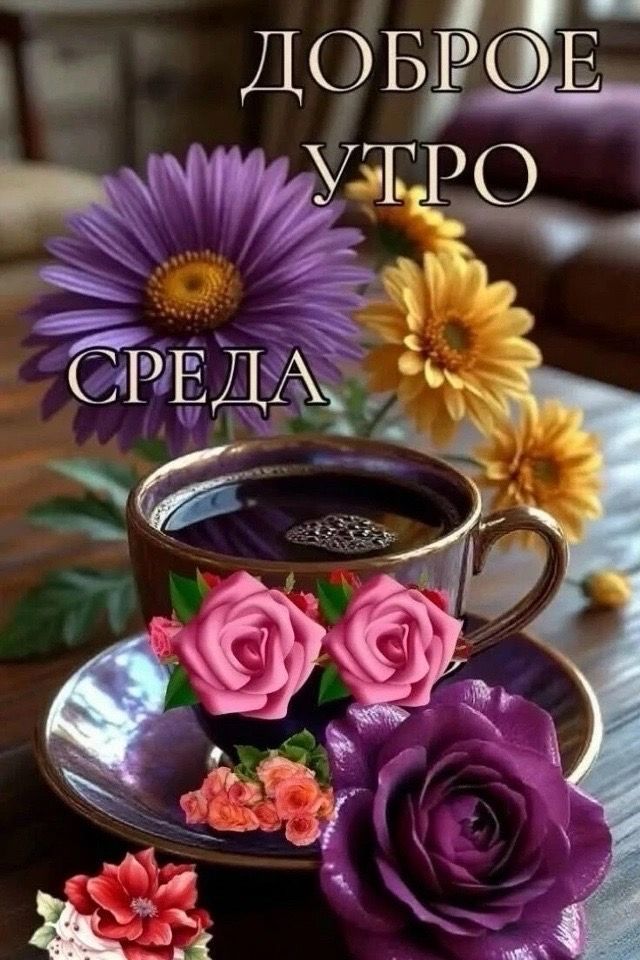 ДОБРОЕ УТРО СРЕДА