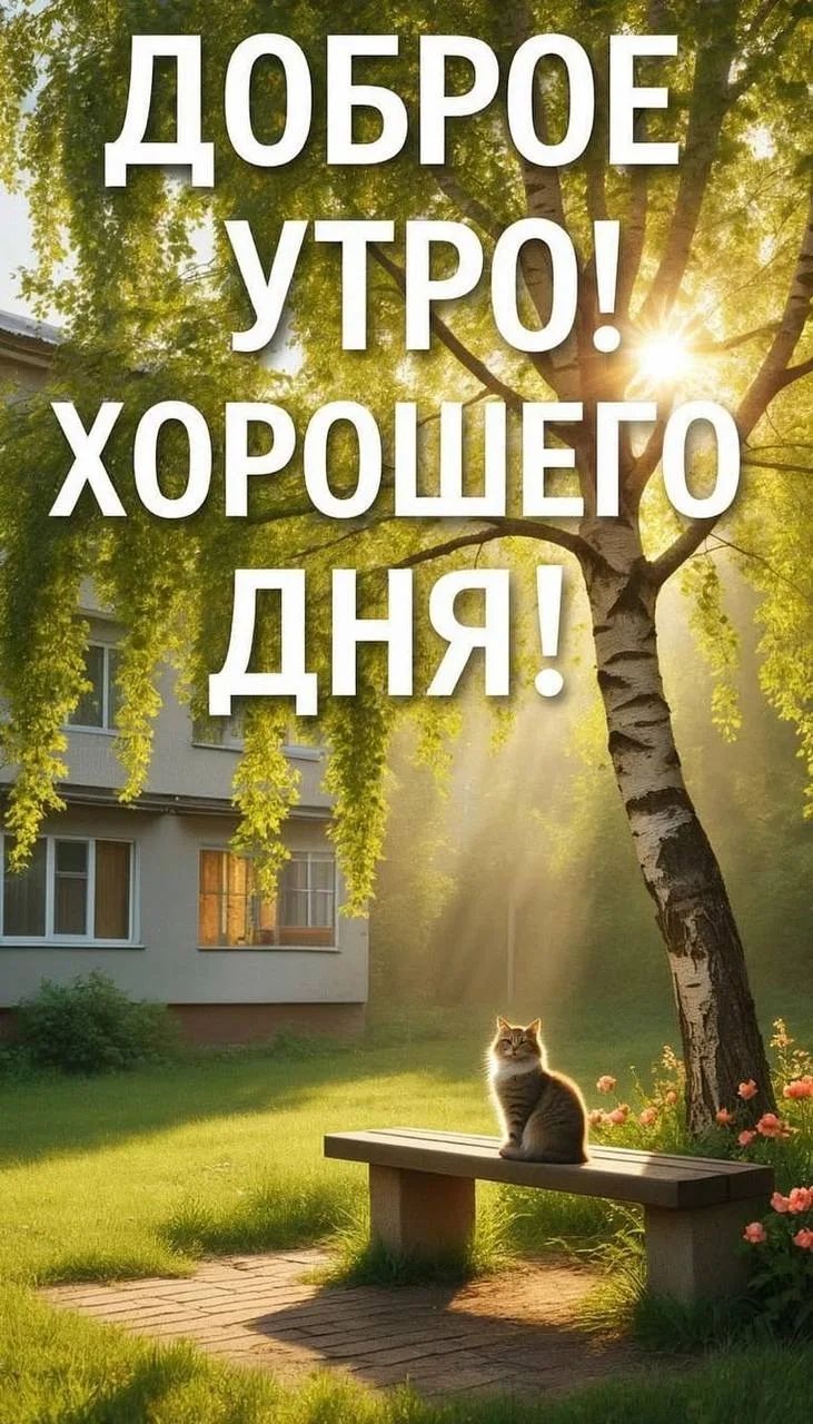 ДОБРОЕ УТРО! ХОРОШЕГО ДНЯ!