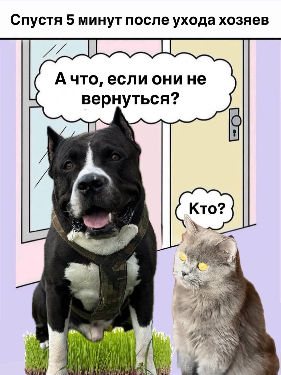 Спустя 5 минут после ухода хозяев. А что, если они не вернуться? Кто?