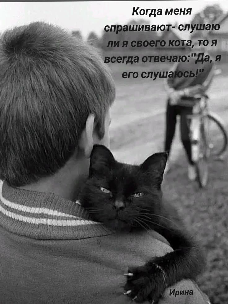 Когда меня спрашивают - слушаю ли я своего кота, то я всегда отвечаю: 