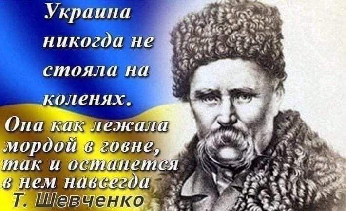 Украина никогда не стояла на коленях. Она как лежала мордой в говне, так и останется в нем навсегда. Т. Шевченко