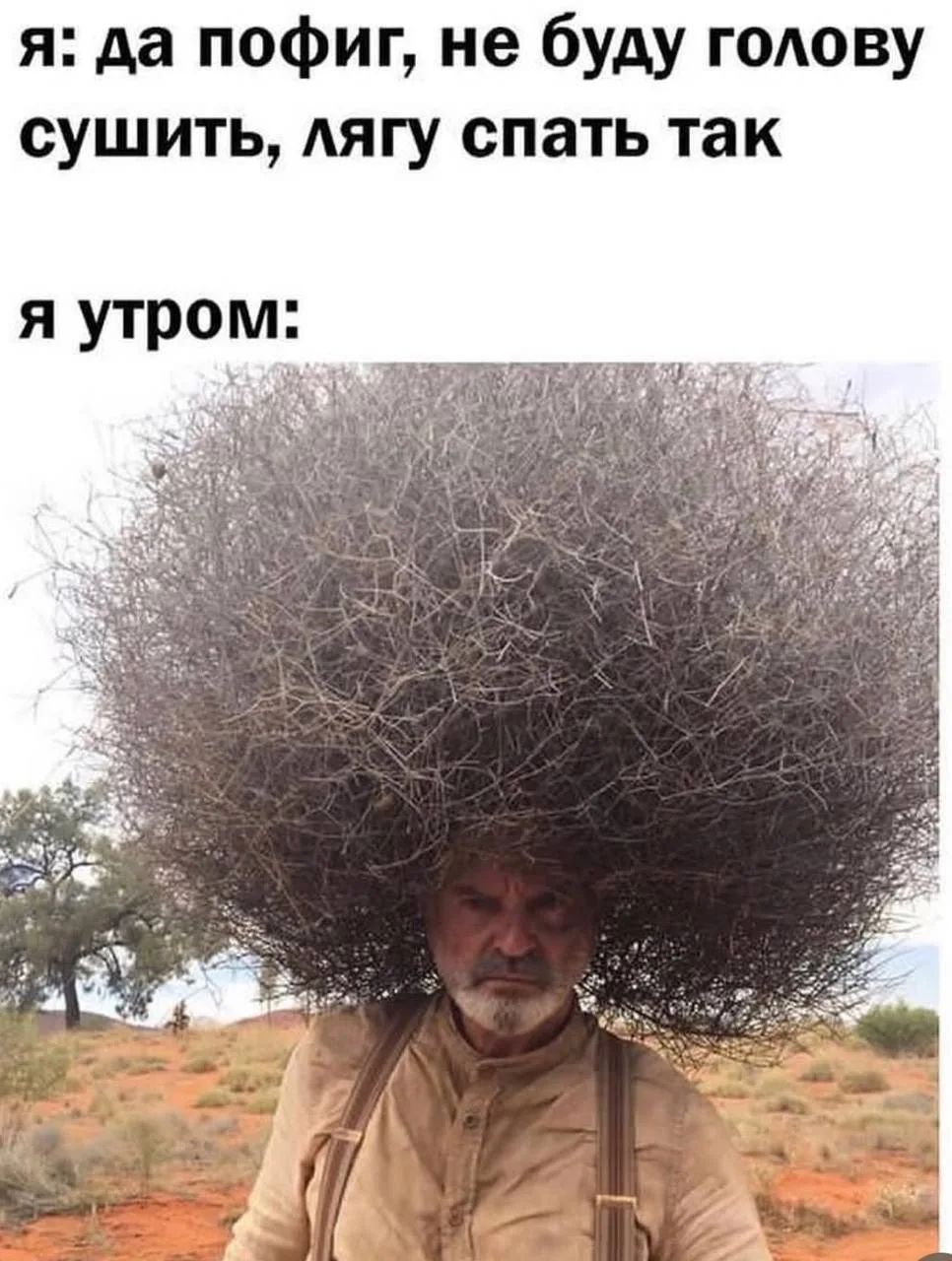 Я: да пофиг, не буду голову сушить, лягу спать так. Я утром: