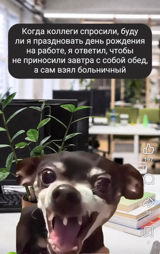 Когда коллеги спросили, буду ли я праздновать день рождения на работе, я ответил, чтобы не приносили завтра с собой обед, а сам взял больничный