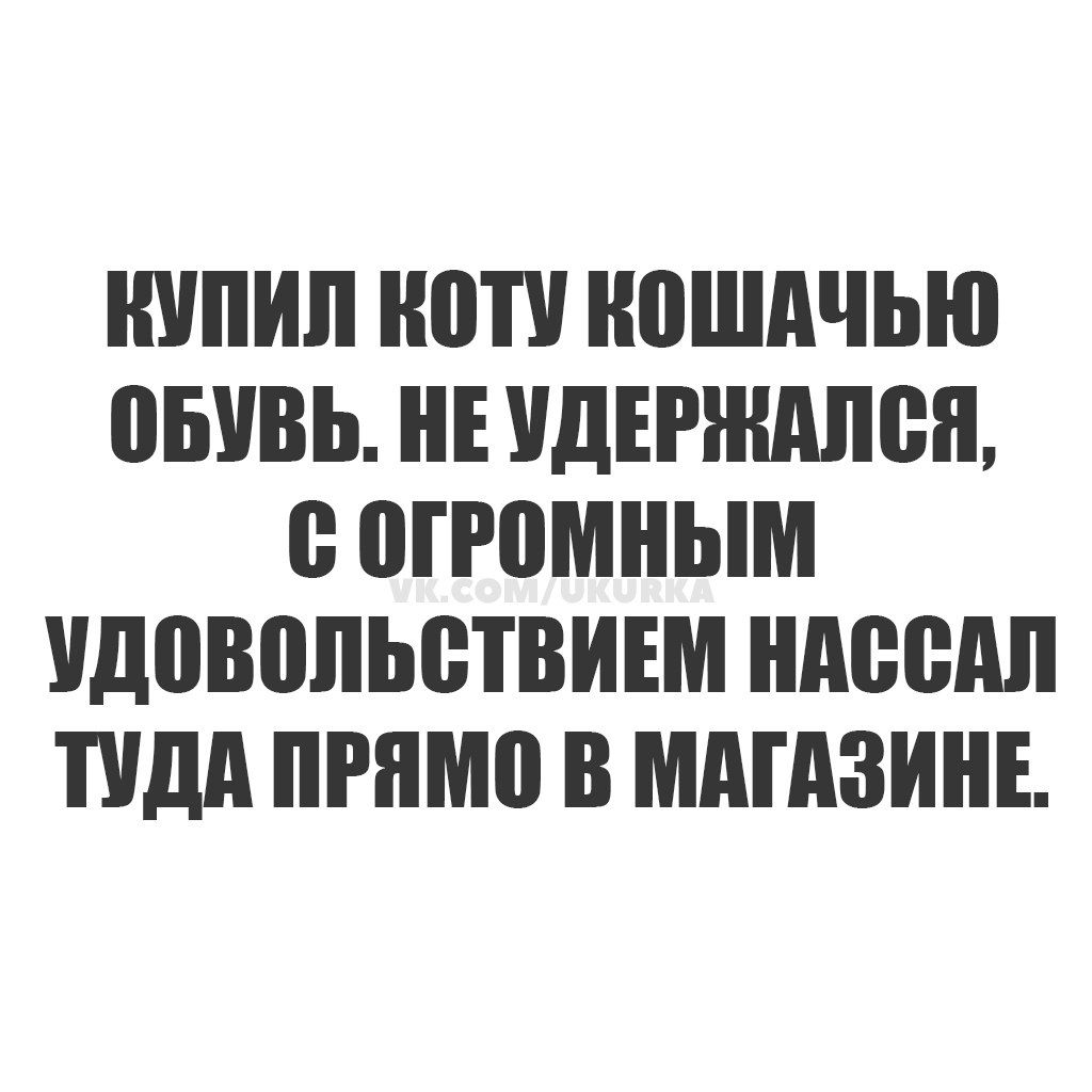 КУПИЛ КОТУ КОШАЧЬЮ ОБУВЬ. НЕ УДЕРЖАЛСЯ, С ОГРОМНЫМ УДОВОЛЬСТВИЕМ НАССАЛ ТУДА ПРЯМО В МАГАЗИНЕ.