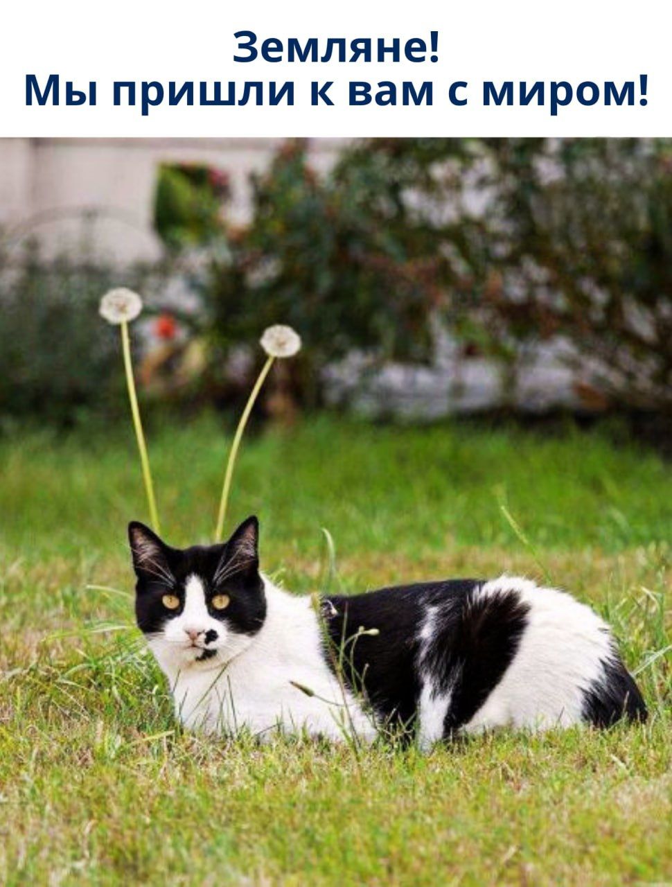 Земляне! Мы пришли к вам с миром!