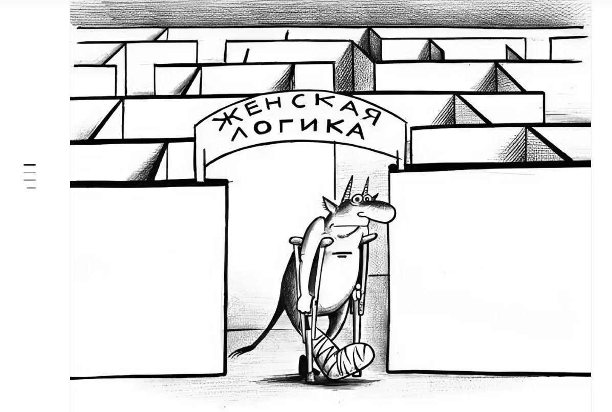 ЖЕНСКАЯ ЛОГИКА