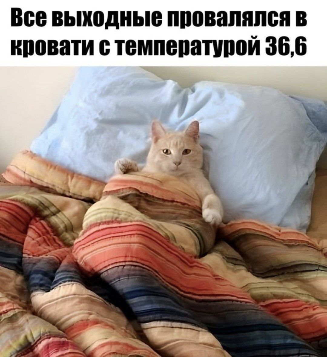 Все выходные провалялся в кровати с температурой 36,6