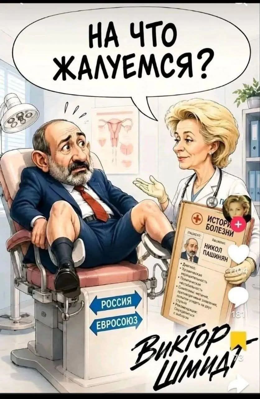НА ЧТО ЖАЛУЕМСЯ? ПАЦИЕНТ: НИКОЛ ПАШИНЯН Диагноз: Хроническая нерешительность, Политическая нестабильность. Симптомы: метания, противоречивые заявления, попытки усидеть на двух стульях. Рекомендации: Определиться с выбором. РОССИЯ ЕВРОСОЮЗ ВИКТОР ШМИДТ