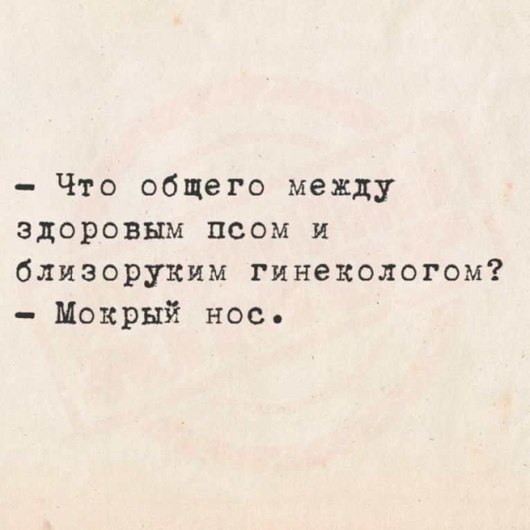 Что общего между здоровым псом и близоруким гинекологом? Мокрый нос.