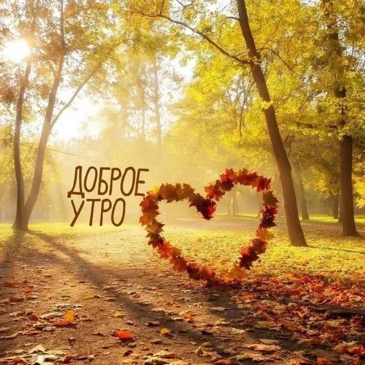 ДОБРОЕ УТРО