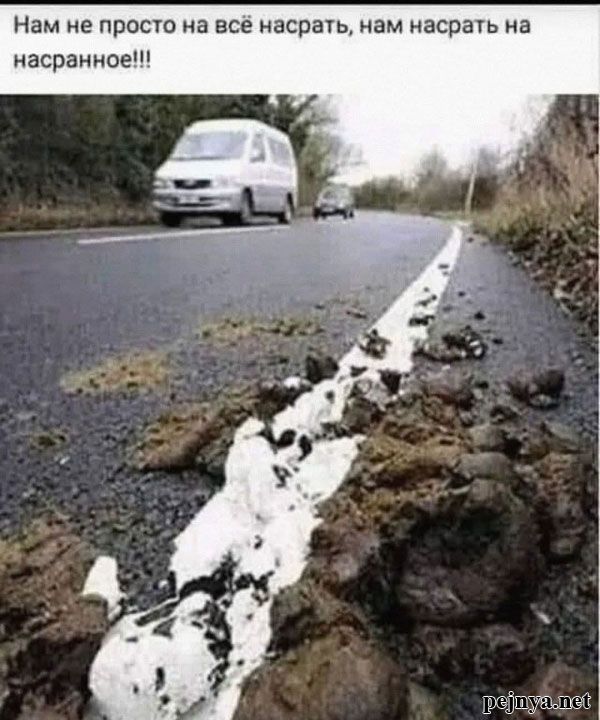 Нам не просто на всё насрать, нам насрать на насранное!!!