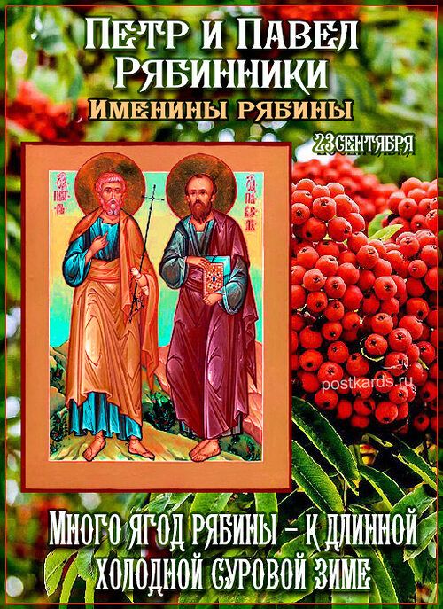 ПЕТР И ПАВЕЛ РЯБИННИКИ Именины рябины 23 СЕНТЯБРЯ МНОГО ЯГОД РЯБИНЫ - К ДЛИННОЙ ХОЛОДНОЙ СУРОВОЙ ЗИМЕ postkards.ru