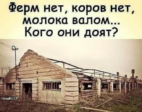 Ферм нет, коров нет, молока валом... Кого они доят? Назад в СССР