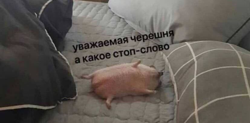 уважаемая черешня а какое стоп-слово