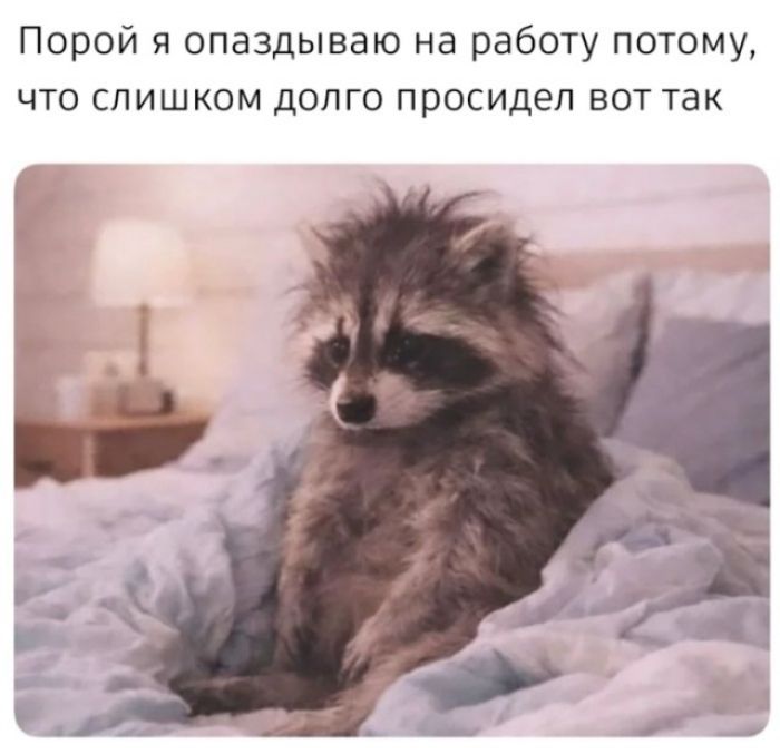 Порой я опаздываю на работу потому, что слишком долго просидел вот так